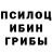 Галлюциногенные грибы мицелий Orest Spivak