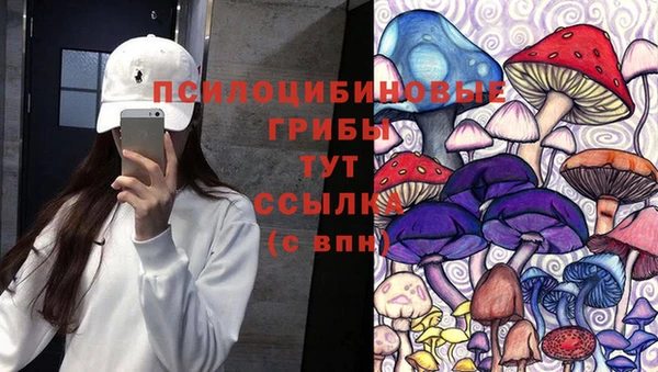 гидра Краснотурьинск