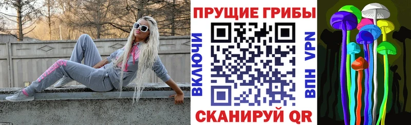 Купить закладки  Дыгулыбгей  Псилоцибиновые грибы мухоморы 